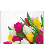 Paw Small Bunch Tulips Cocktail  Napkins 20pk