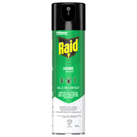 Johnson Raid Home Insect Killer 350g