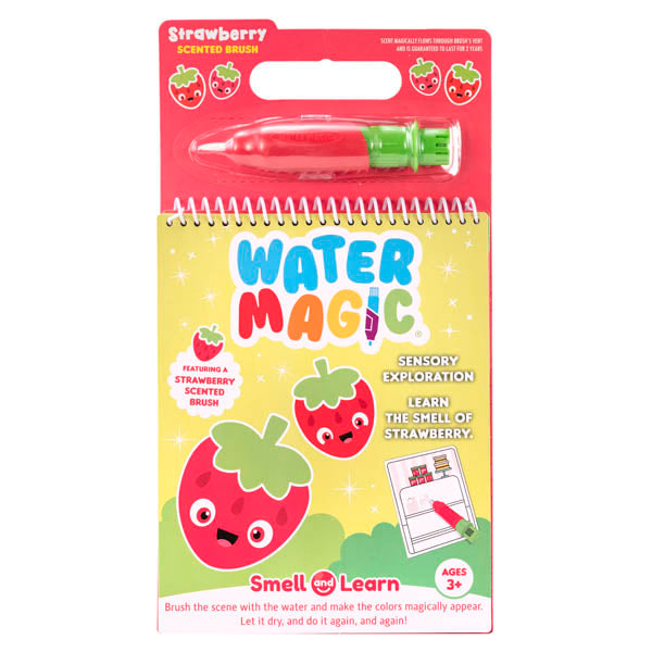 Water Magic Strawberry Scented Brush and Pad