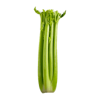 Celery Stalk 1ct