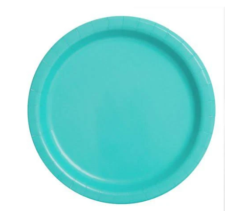 Turquoise Plates - 24