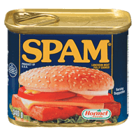 Hormel Spam Luncheon Meat 340g