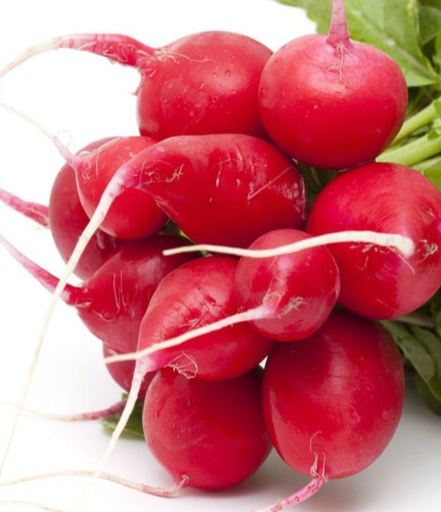 Radish 1lb Bag