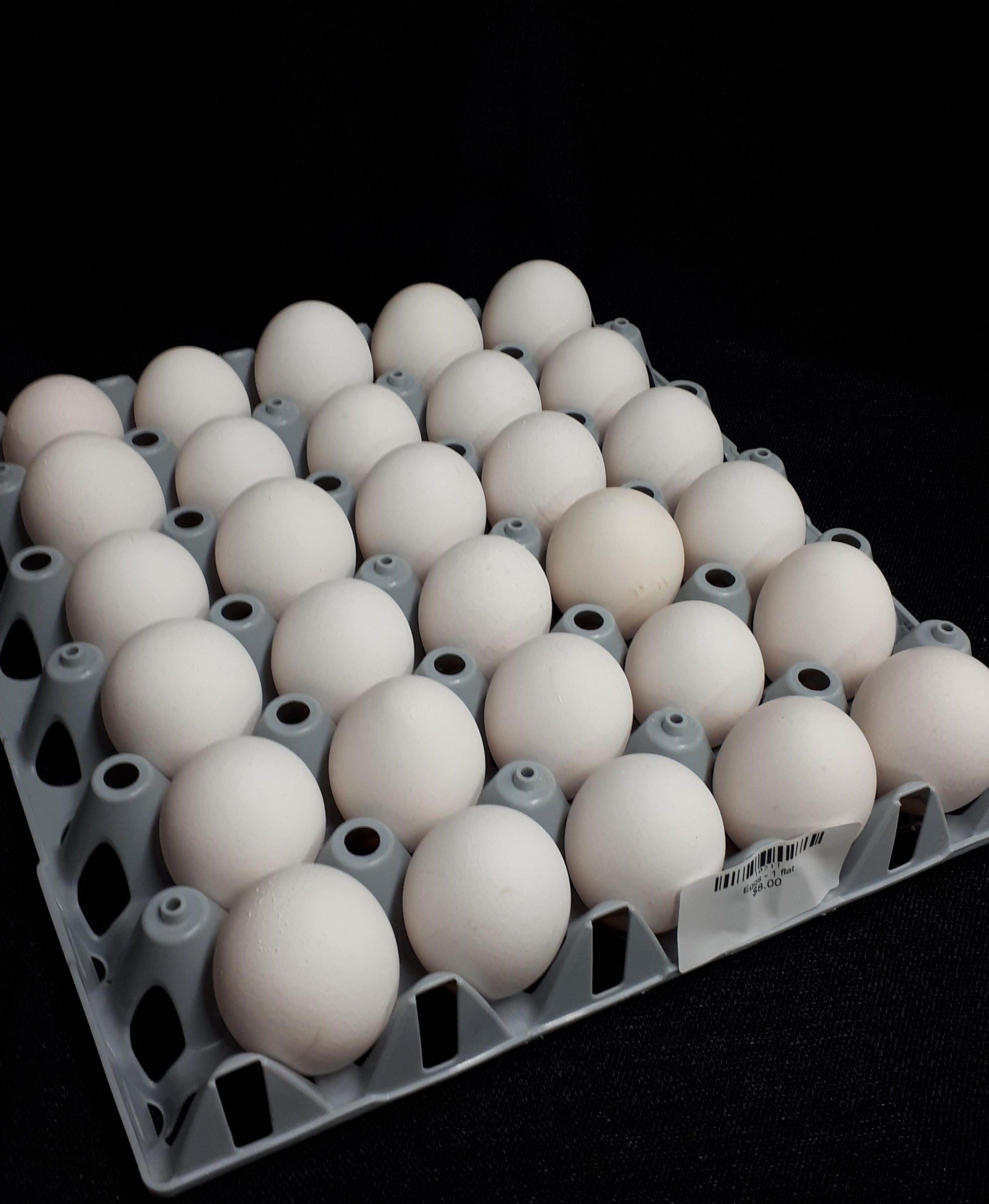 Large Eggs 30ct