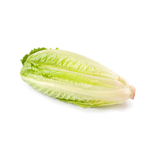 Romaine Hearts 1ct