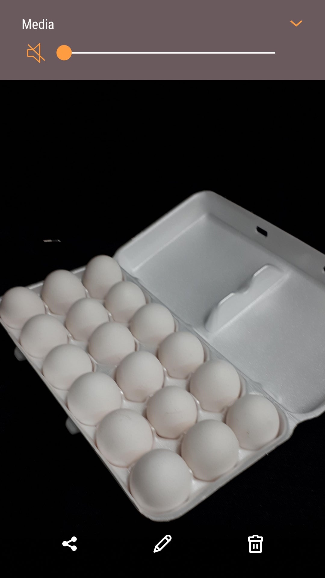 Eggs  Farm Fresh (white) 1.5doz.