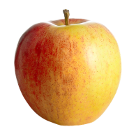 Gala Apples, Large 10 ct