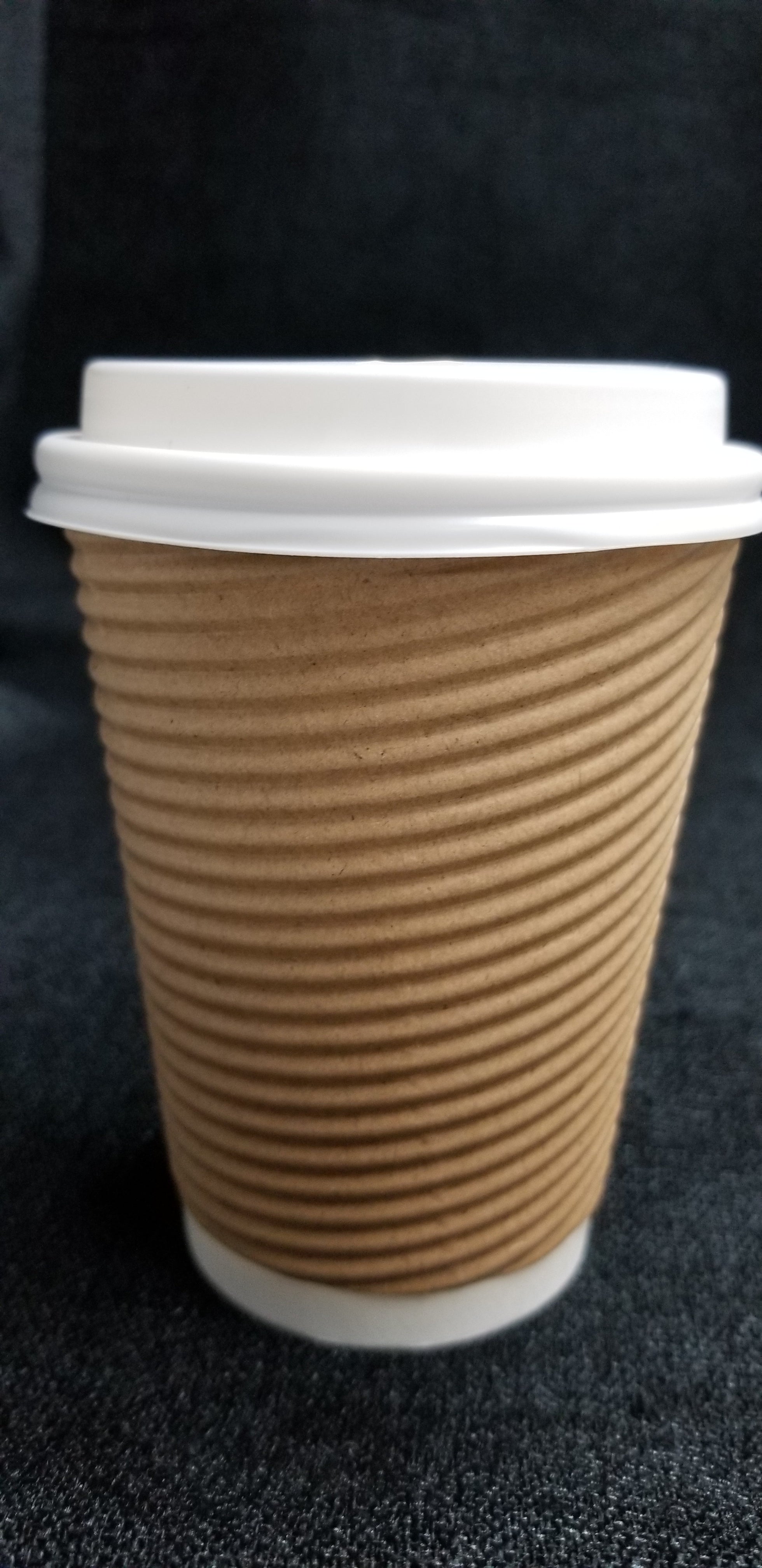 Insulated Disposable Travel Cups 12oz x 25ct