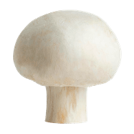 Mushrooms 400g