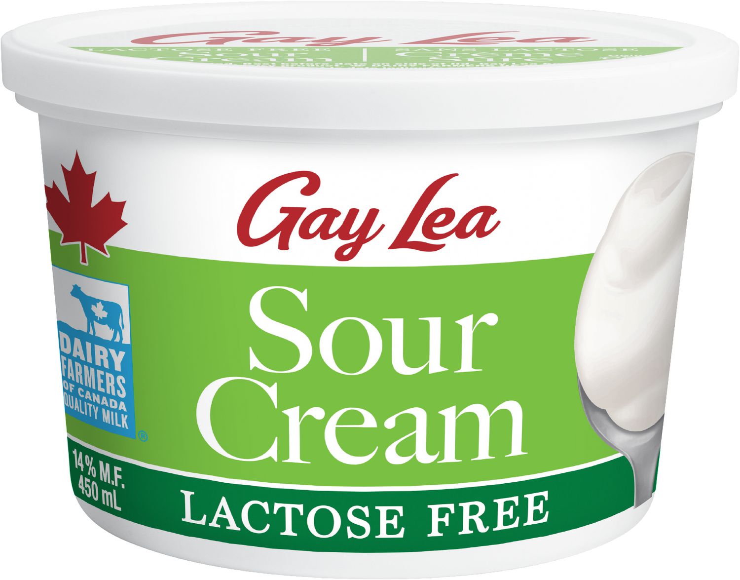 Gay Lea Foods Lactose Free Sour Cream 450ml