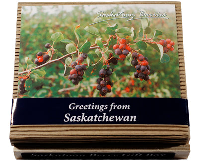 Saskatoon Berries Souvenir Gift Box 3 Pk