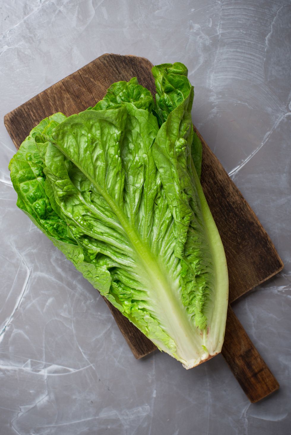 Large Romaine Lettuce