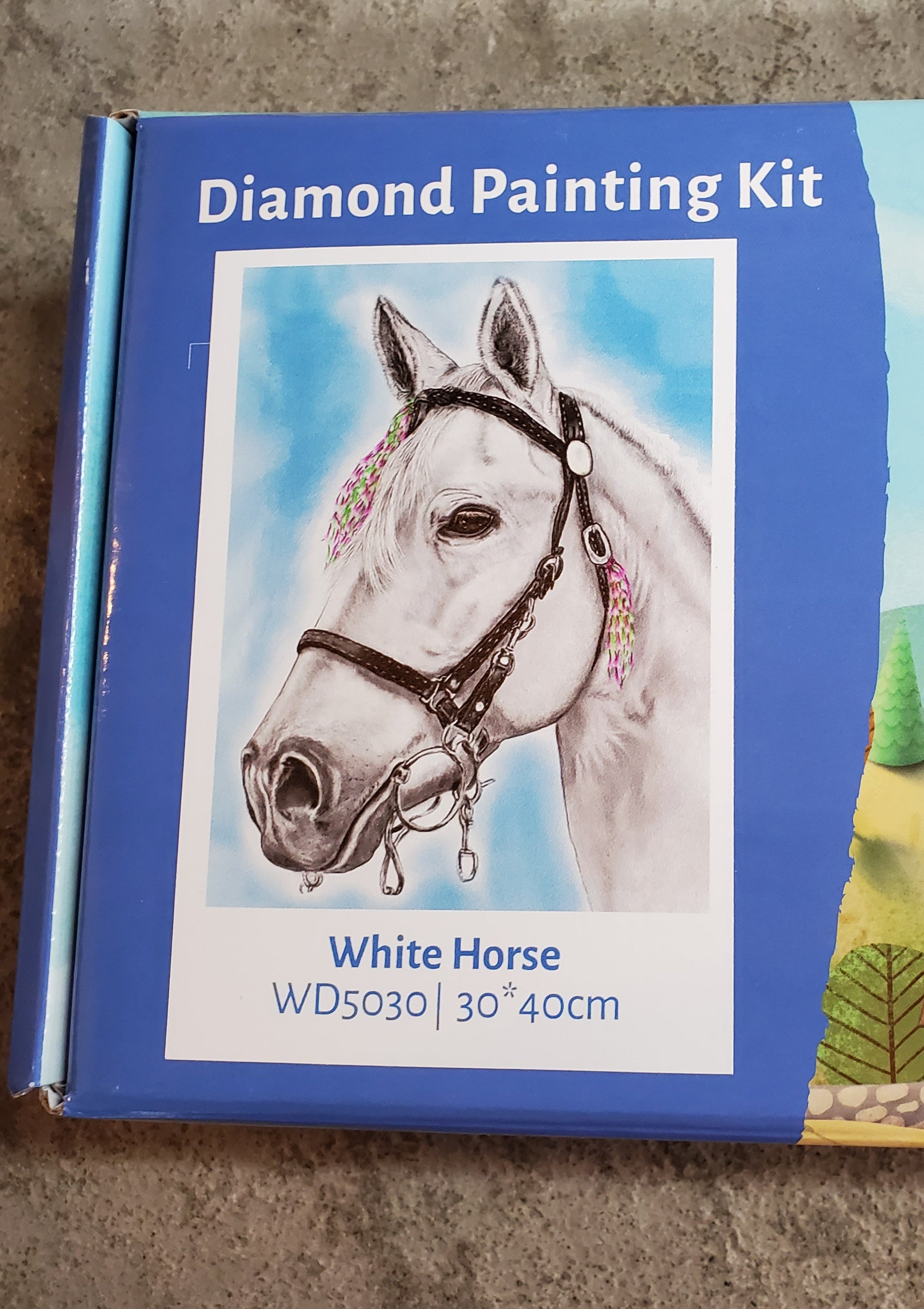 Wizardi "White Horse"  Diamond Painting Kit