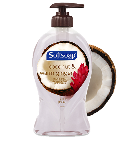 Softsoap Coconut & Warm Ginger  Hand Soap 162 ml