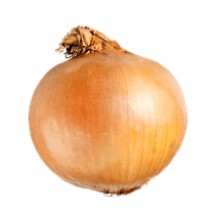 Onion 1ct