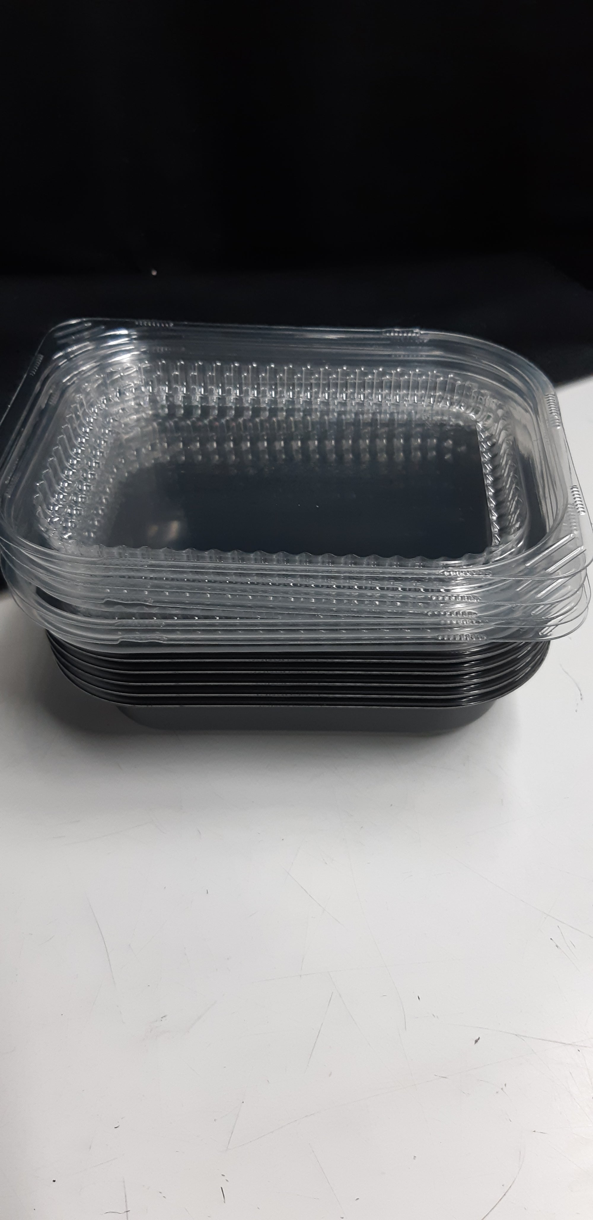 Plastic Tray with Lid