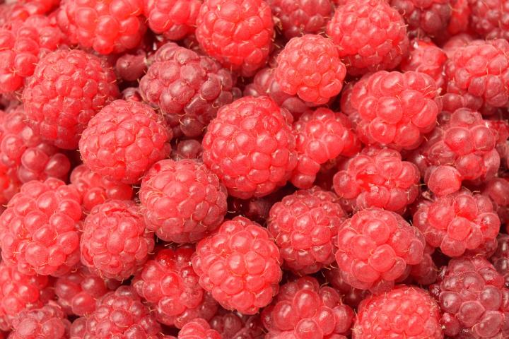 Raspberries - Alpine