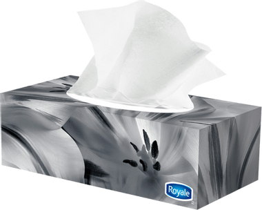 Royale 2-Ply 100 Sheet  Facial Tissue 6pk