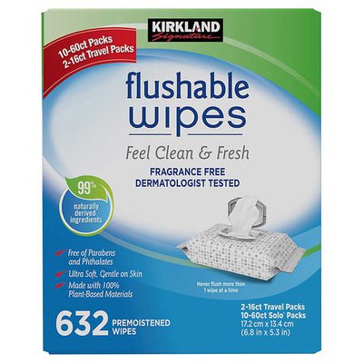 Kirkland Signature Fragrance Free Flushable Wipes 632ct