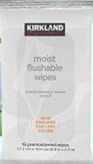 Kirkland Signature Moist Flushable Wipes 16ct